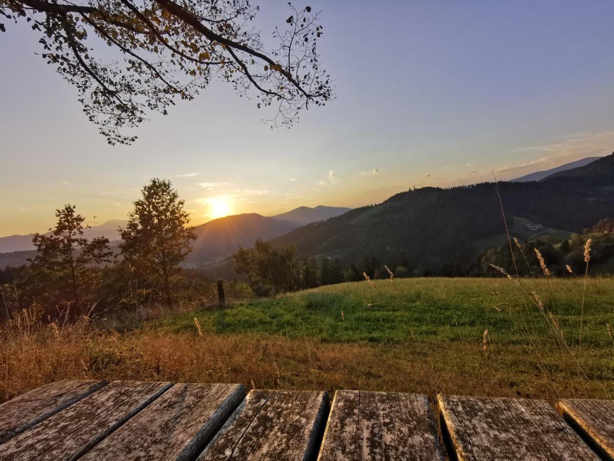 Villa Richterberg With Sauna & Hot Tub Slovenj Gradec Eksteriør bilde