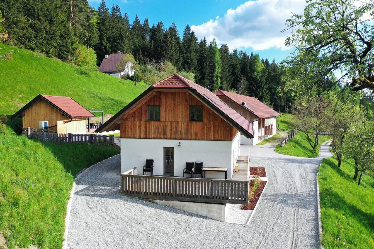 Villa Richterberg With Sauna & Hot Tub Slovenj Gradec Eksteriør bilde