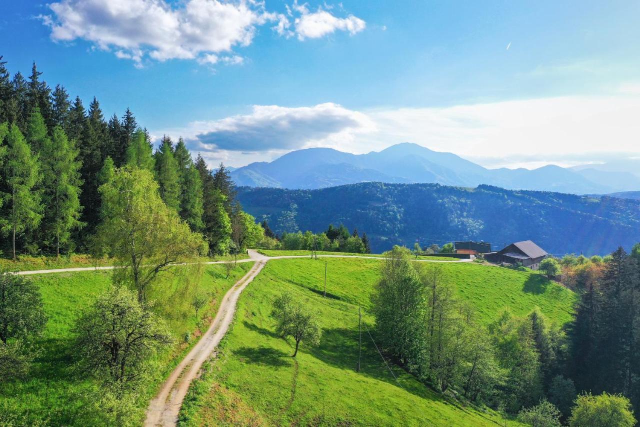 Villa Richterberg With Sauna & Hot Tub Slovenj Gradec Eksteriør bilde