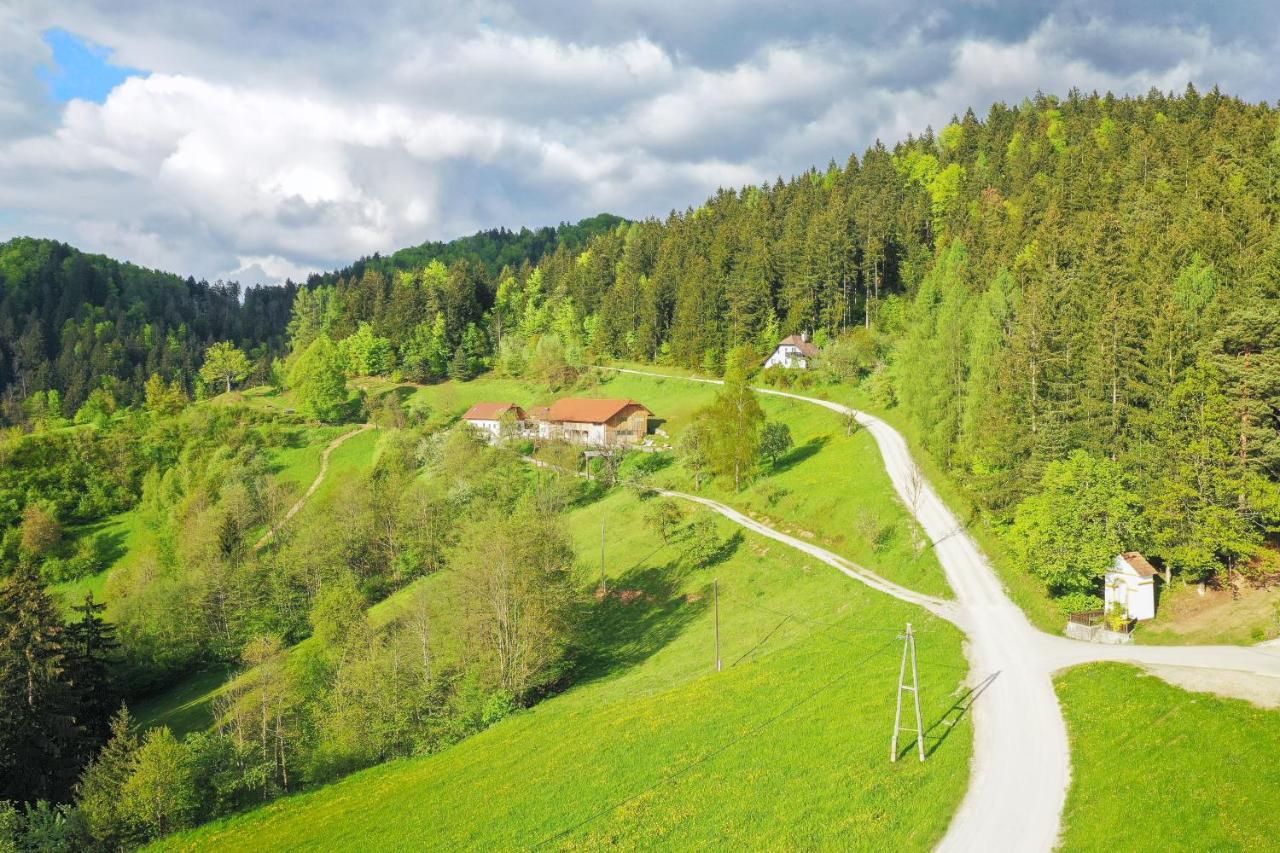 Villa Richterberg With Sauna & Hot Tub Slovenj Gradec Eksteriør bilde