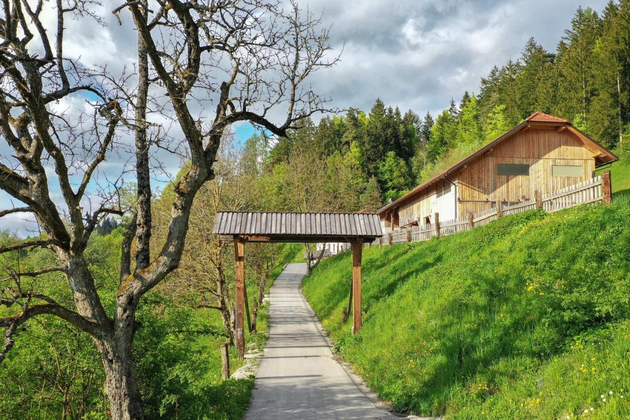 Villa Richterberg With Sauna & Hot Tub Slovenj Gradec Eksteriør bilde
